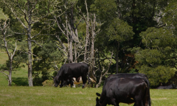 Produtor rural tem prazo para regularizar Domicílio Tributário Eletrônico